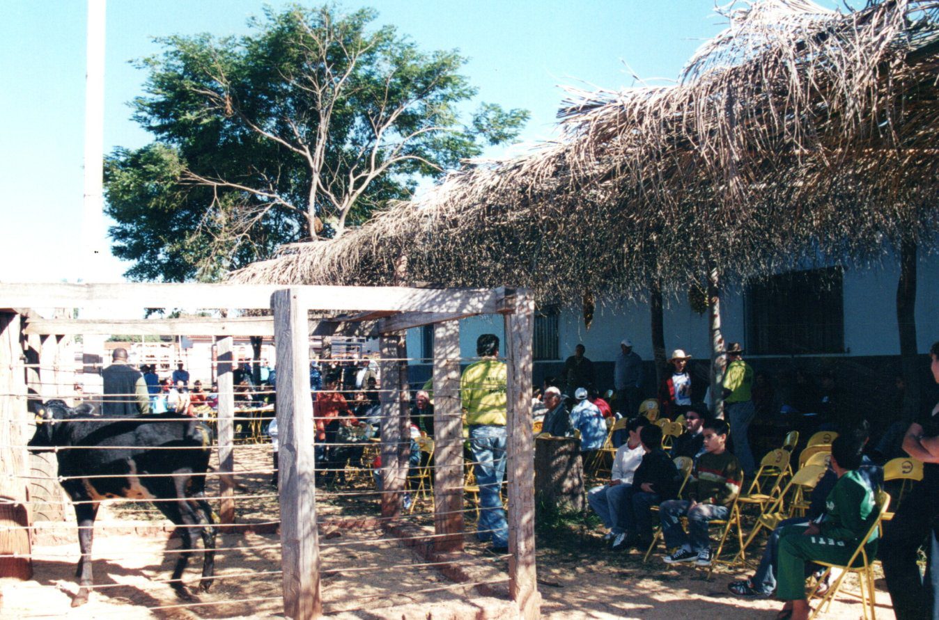 Imagem: Leilão Festa de Santo Antônio – 2004